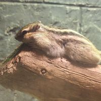 評論圖片 3