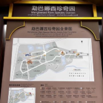 評論圖片 4