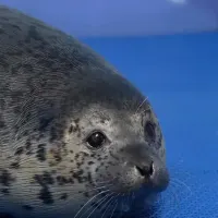 評論圖片 6
