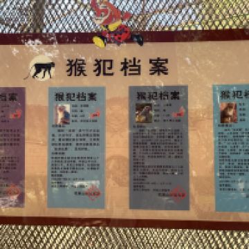 評論圖片 9