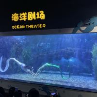 評論圖片 3