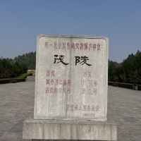 評論圖片 7