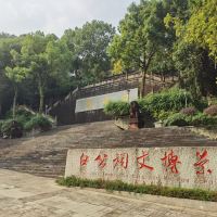 評論圖片 1