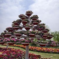 評論圖片 3