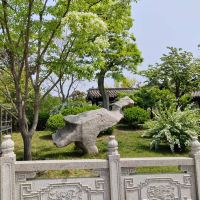 評論圖片 7