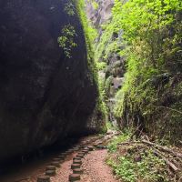 評論圖片 4