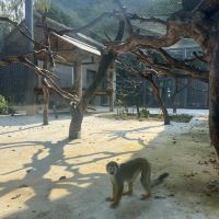 評論圖片 4