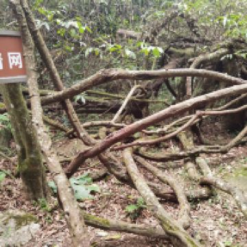 評論圖片 5
