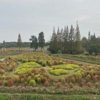 評論圖片 1