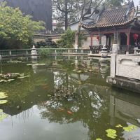 評論圖片 1
