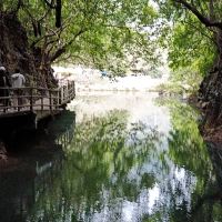 評論圖片 7