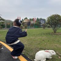 評論圖片 1