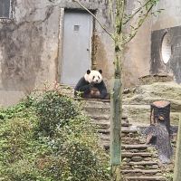 評論圖片 4