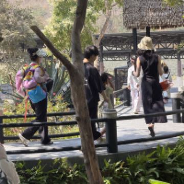 評論圖片 3