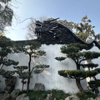 評論圖片 6