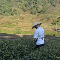 評論圖片 3