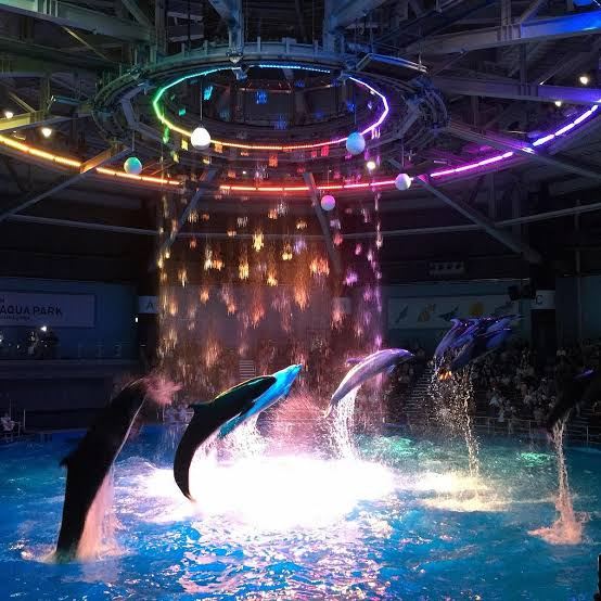 Maxell Aqua Park Shinagawa Tickets [2026] - Promos, Prices