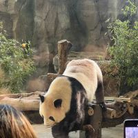 評論圖片 1
