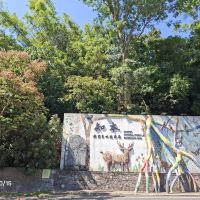 評論圖片 2