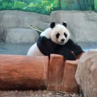 評論圖片 2