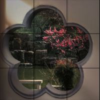 評論圖片 1