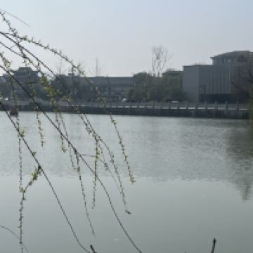 評論圖片 2
