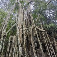 評論圖片 4