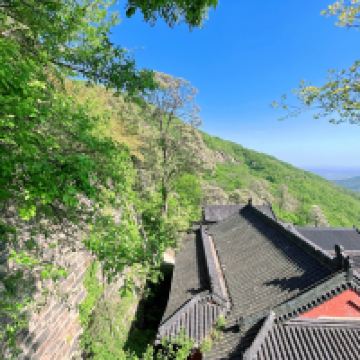評論圖片 3