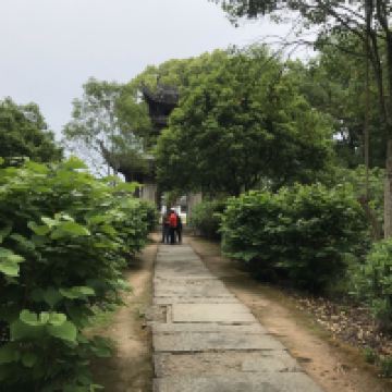 評論圖片 1