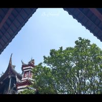 評論圖片 2
