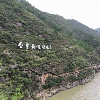 評論圖片 5
