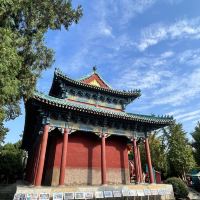 評論圖片 3