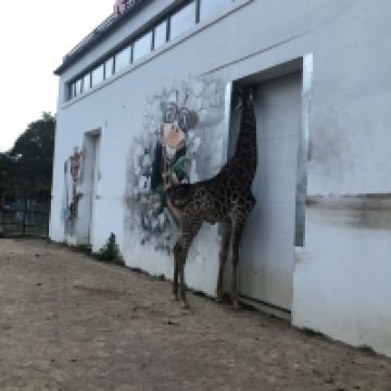 評論圖片 8