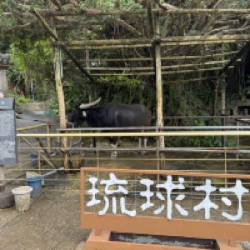 評論圖片 7