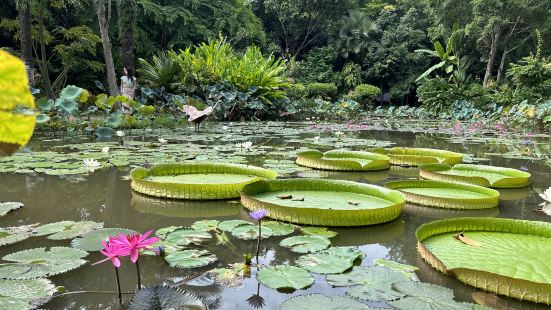 非常大，非常多值得看的熱帶植物，價位相對其它植物園算高的，應