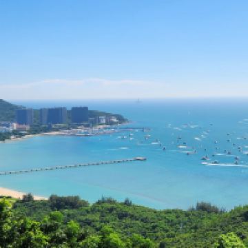 評論圖片 7