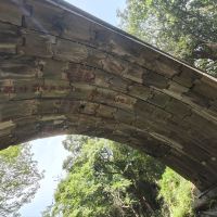 評論圖片 5