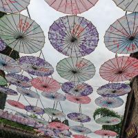 評論圖片 4