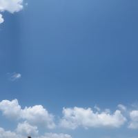 評論圖片 8