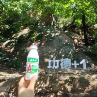 評論圖片 5