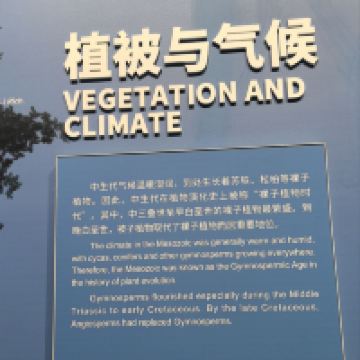 評論圖片 2