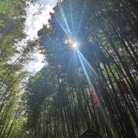 評論圖片 6