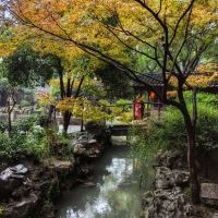 評論圖片 8