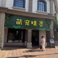 評論圖片 6