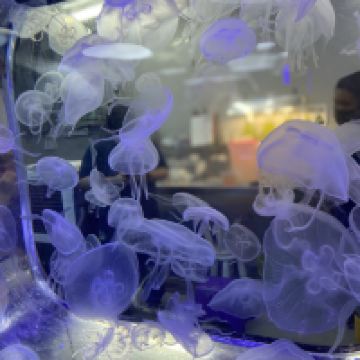 評論圖片 5