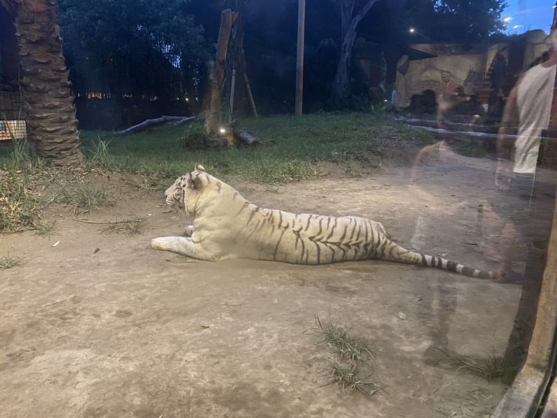 峇里島野生動物園和海洋公園用戶評價
