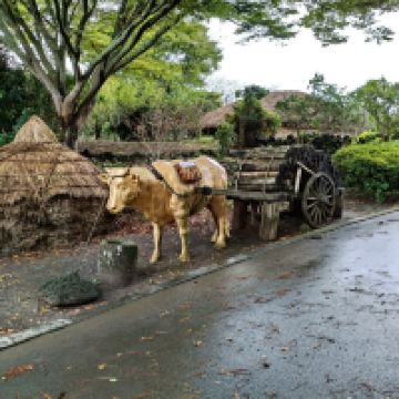 評論圖片 4