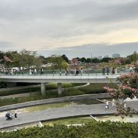 評論圖片 3