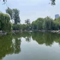 評論圖片 5