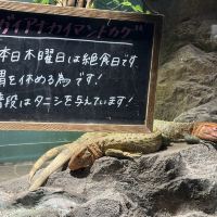 評論圖片 5
